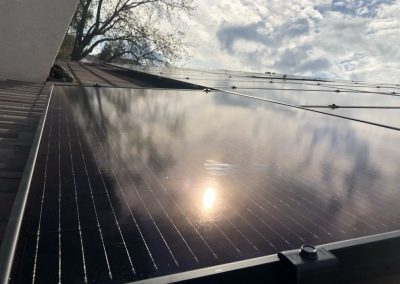 critter defence for solar panels in bakersfield and central valley california